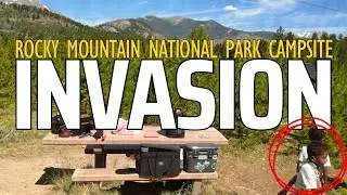 BAD campsite etiquette! Don&rsquo;t let your kids run free in other people&rsquo;s campsites!  