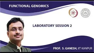 Laboratory Session 2