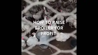 FROM FARM TO TABLE BROILER PRODUCTION TO MAKE PROFITS