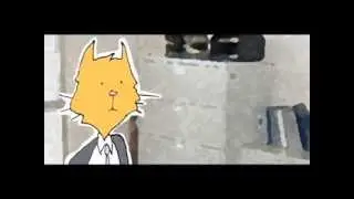 Cat Person: Interview