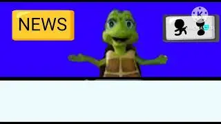 Florida window and door shelly news commercial 2022