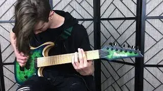Erra | Irreversible | Full Guitar Cover (Ibanez RGDIX7MPB)