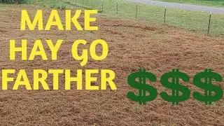how to minimize hay waste