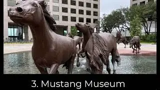 12 Best Things to Do in Irving, Texas