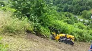 Roden einer alten Weinbergsfl&auml;che 2