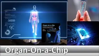 Organ-On-a-Chip Technology