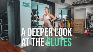 Glutes in Depth - Active Spirit