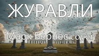 Whynot Whynot Whynot - Журавли (Марк Бернес cover) [post-hardcore]