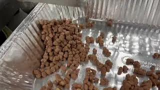 Processing Chocolate Fudge Pellets
