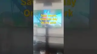 deer squad save the day of Nash and friends tunes