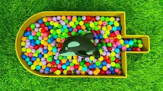 💖ASMR Tingle Therapy with Melting Crunch & Soft Bites😊