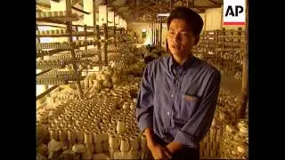 VIETNAM: MARKET ECONOMY