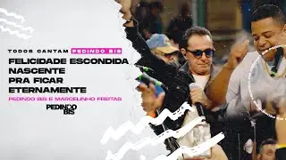 PEDINDO BIS & MARCELINHO FREITAS | SÓ AS MELHORES 