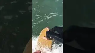 HANGING 10 - WATCH THIS from My Perspective