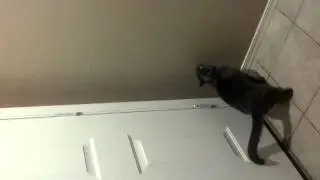 And he finally caught it!