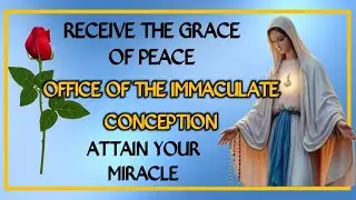IMMACULATE CONCEPTION - ATTAIN YOUR MIRACLE