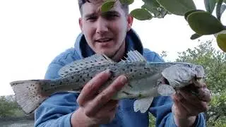 MULTI-DAY SOLO Camping, Fishing, Kayak Surfing?? (NEW PB)