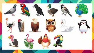 Learn birds names | Toddler learning video | pre nursury syllabus |