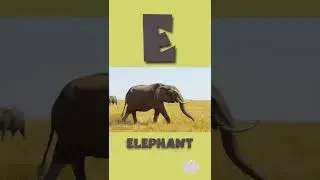 Letter E Elephant animals animation #shorts for children English learning New Kids Channel