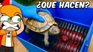 TRITURADORA VS OBJETOS DE LA VIDA REAL #3 😱 | Palmita REACCIONA