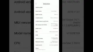 Poco F1 Screen Pinning Bug