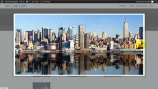 003 PICTURE GALLERY website