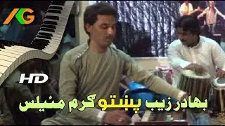 Bahadar Zaib Best Pashto Awami Program