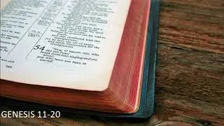 The Audio Bible - Genesis 11-20