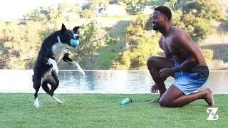 ZippyPaws AirTuff&reg; | Lightweight & Durable Dog Toys