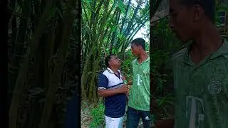 সরিষার তেল নিয়ে আক্কেল আলী কই যায় #akkel ali #comedy #shortcontent #funny boy Akkel ali #
