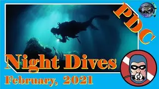 Night Scuba Diving : Playa del Carmen : Phantom Divers - February, 2021