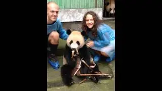 Our Panda Cuddle