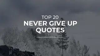 TOP 20 Never Give Up Quotes | Daily Quotes | Inspirational Quotes | Good Quotes