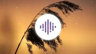 Автор: Ivan Beats Production Бит: Hurricane Vibe
