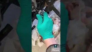 Kawasaki Z1000 Wasserpumpe/Ölpumpe Dichtung wechseln.