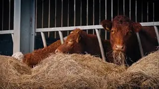 How Farmers Make Hay | The Henry Ford's Innovation Nation