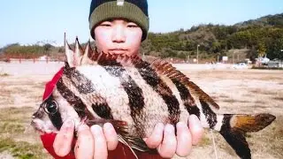 More Weird and Scary World Records Fish (Part II)