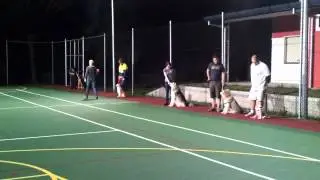 Dog Matters Training Classes Bundaberg - Distraction Work with Squeaker