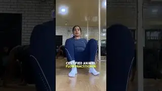Animal Flow Level 1 Workshop Experience #animalflow #workshopexperience #workout #fitness #shorts