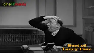 Best of Larry Fine  The Three Stooges  AdobeExpress