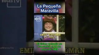 La peque&ntilde;a maravilla- serie de 1985 que const&oacute; de 4 temporadas