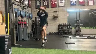 Core SL multifidi circles