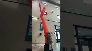 Wacky waving inflatable flailing arm tube man!