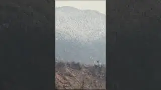 Manali Himachal Pradesh #manali #kasol #live snow in morning 14 January