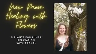 How to connect to the New Moon with Plant Wisdom