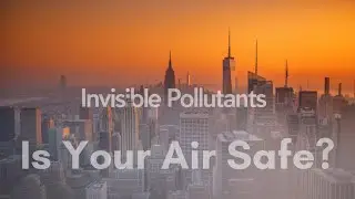Breathe Smarter: The Truth About Ozone, NO₂ & PM2.5 - Air Quality 101