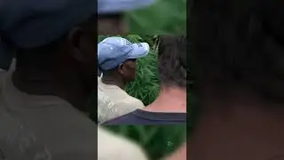 Unbelievable! Producing 200 Grams a Day by Hand in Jamaica