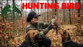 Wild Bird Hunting in Deep Autumn Forest | Hunting with Dogs in Nature 🍂🔥