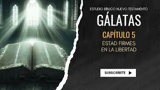 Estudio B&iacute;blico | Estad firmes en la libertad - REFLEXI&Oacute;N.
