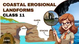 Cliffs, Terraces, Caves & Stacks : Erosional Landforms - Landforms and Their Evolution | Class 11